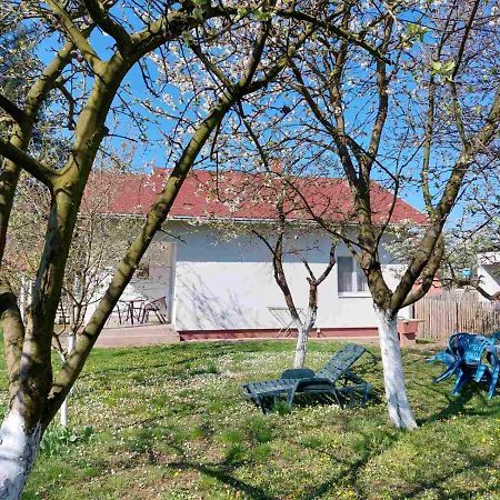 Apartman Dijelovi ビイェリナ エクステリア 写真