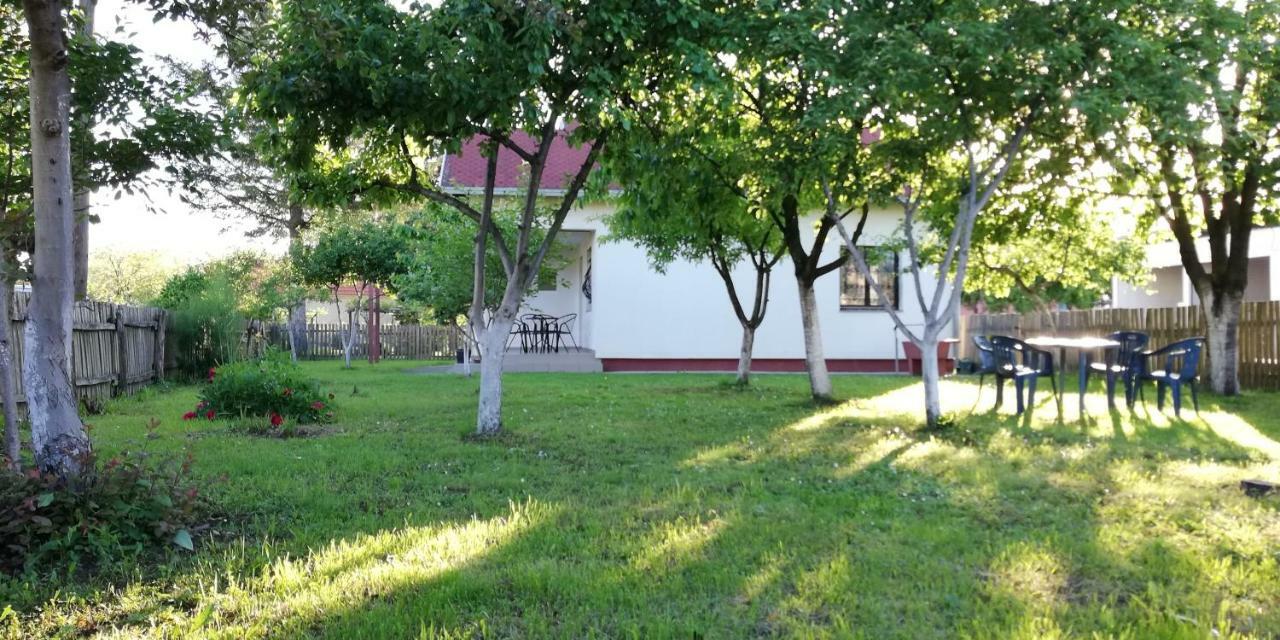 Apartman Dijelovi ビイェリナ エクステリア 写真